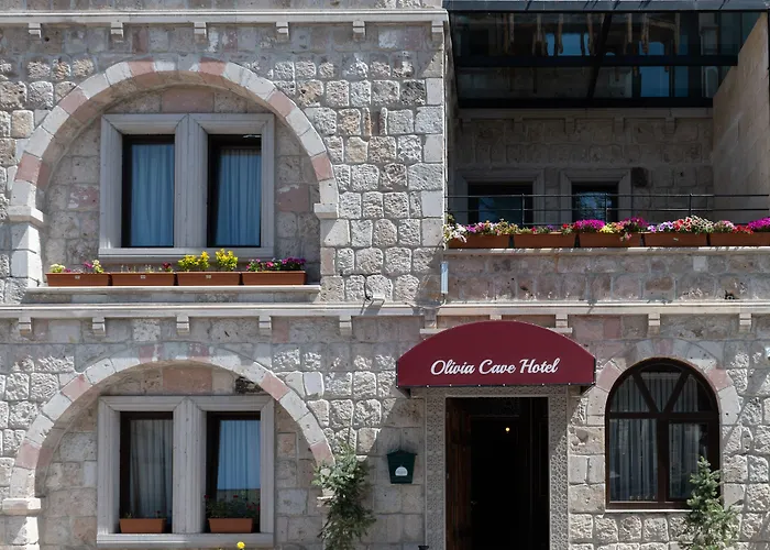 Olivia Cave 4*